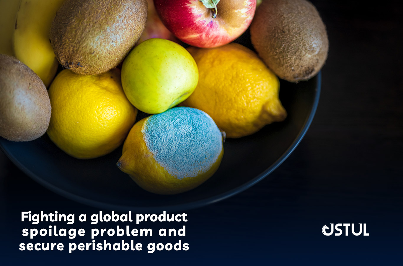Fighting a Global Product Spoilage Problem and Secure Perishable Goods