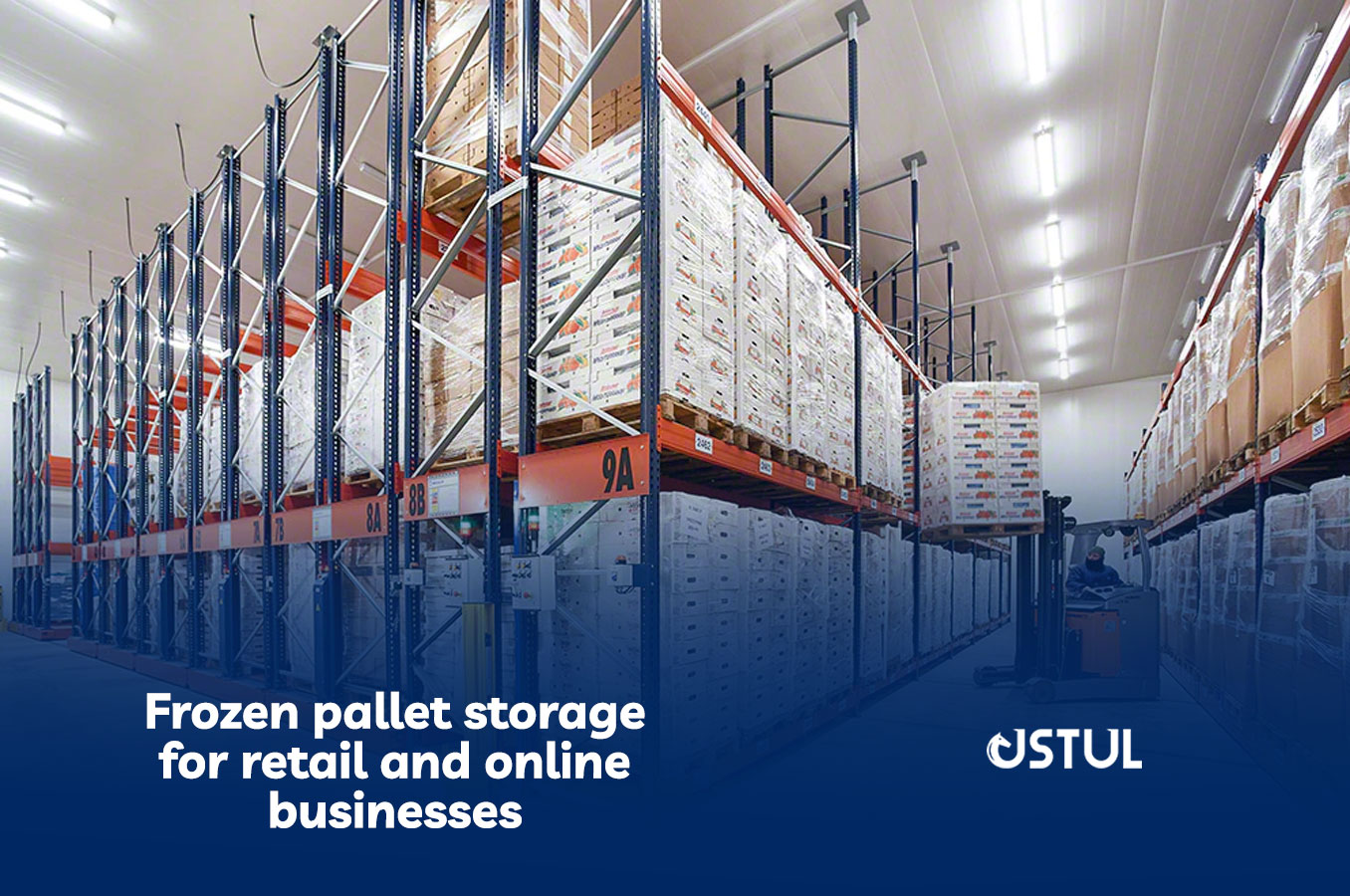 Frozen Pallet Storage for retail and Online Businesses