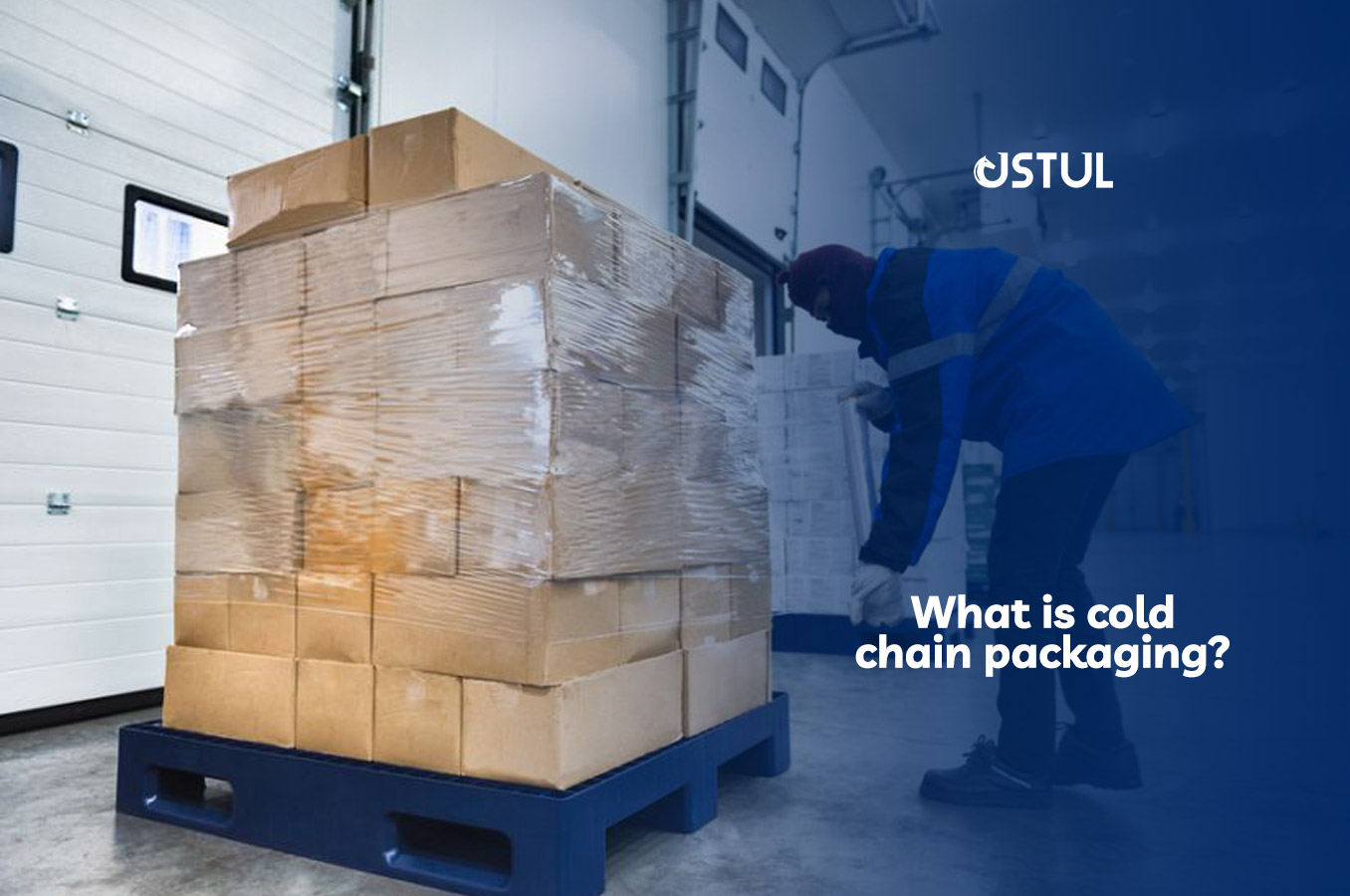 What is Cold Chain Packaging?